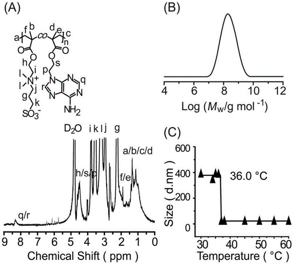 Thermo-sensitive polymer carrier and preparation method and application thereof