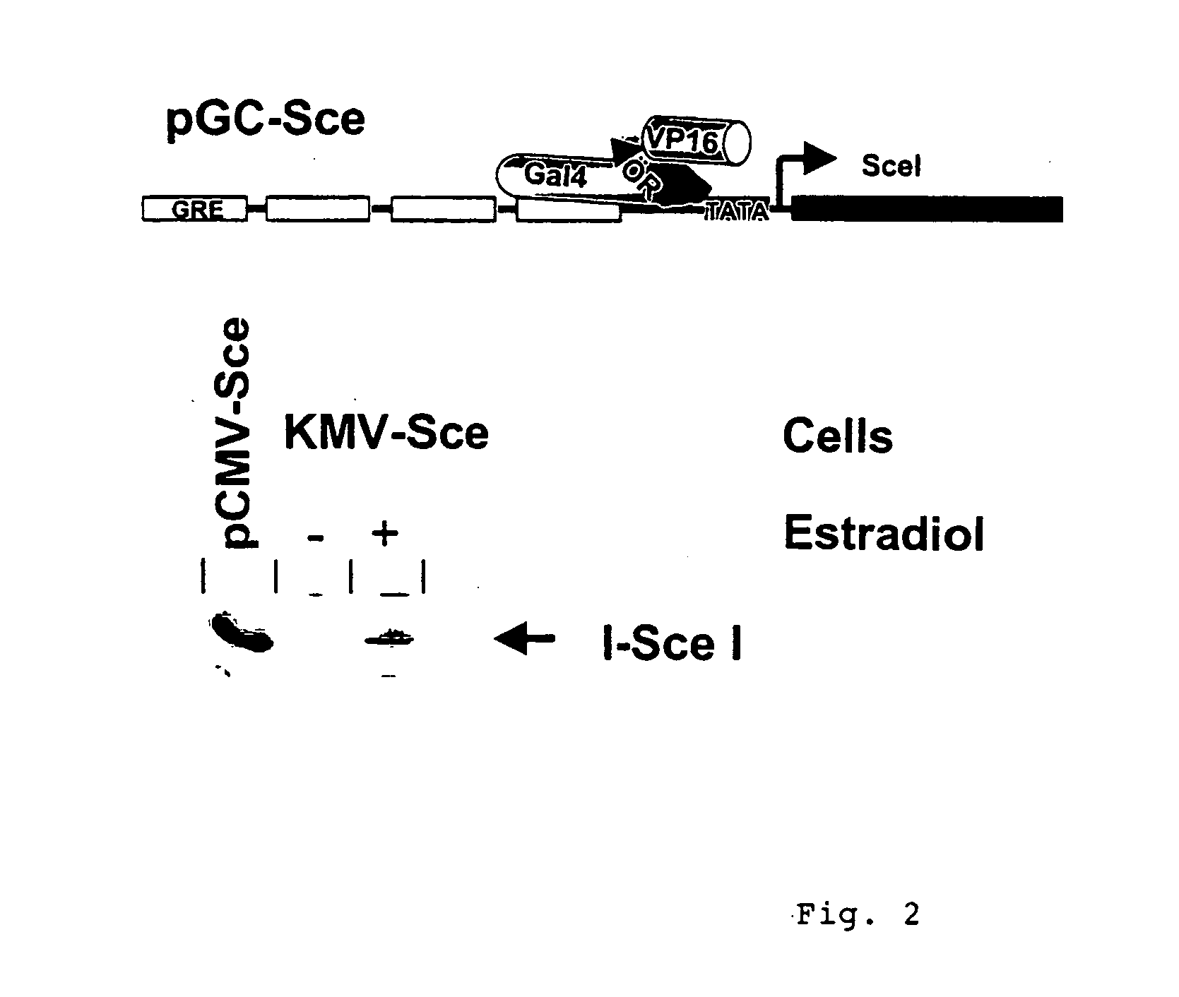 Test system for determining gene toxicities