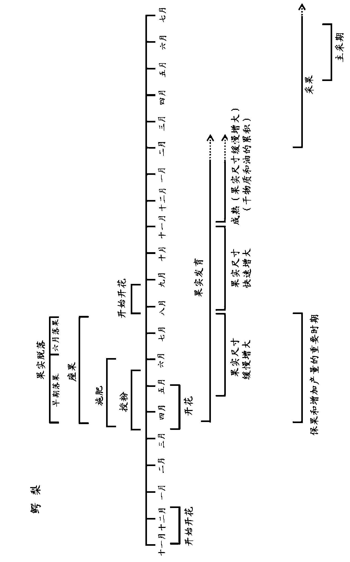 Mitigation of alternate bearing