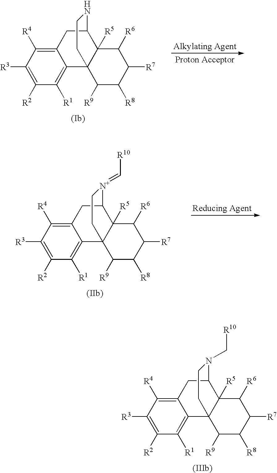 Process for the Reductive Alkylation of Normorphinans