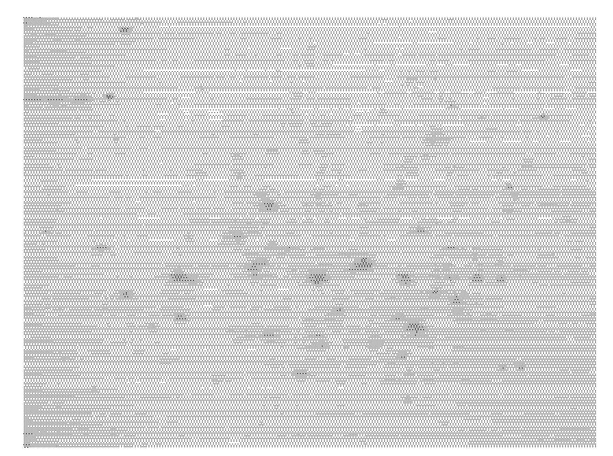 Method for preparing leaf receptor material for sugarcane transgene transient expression