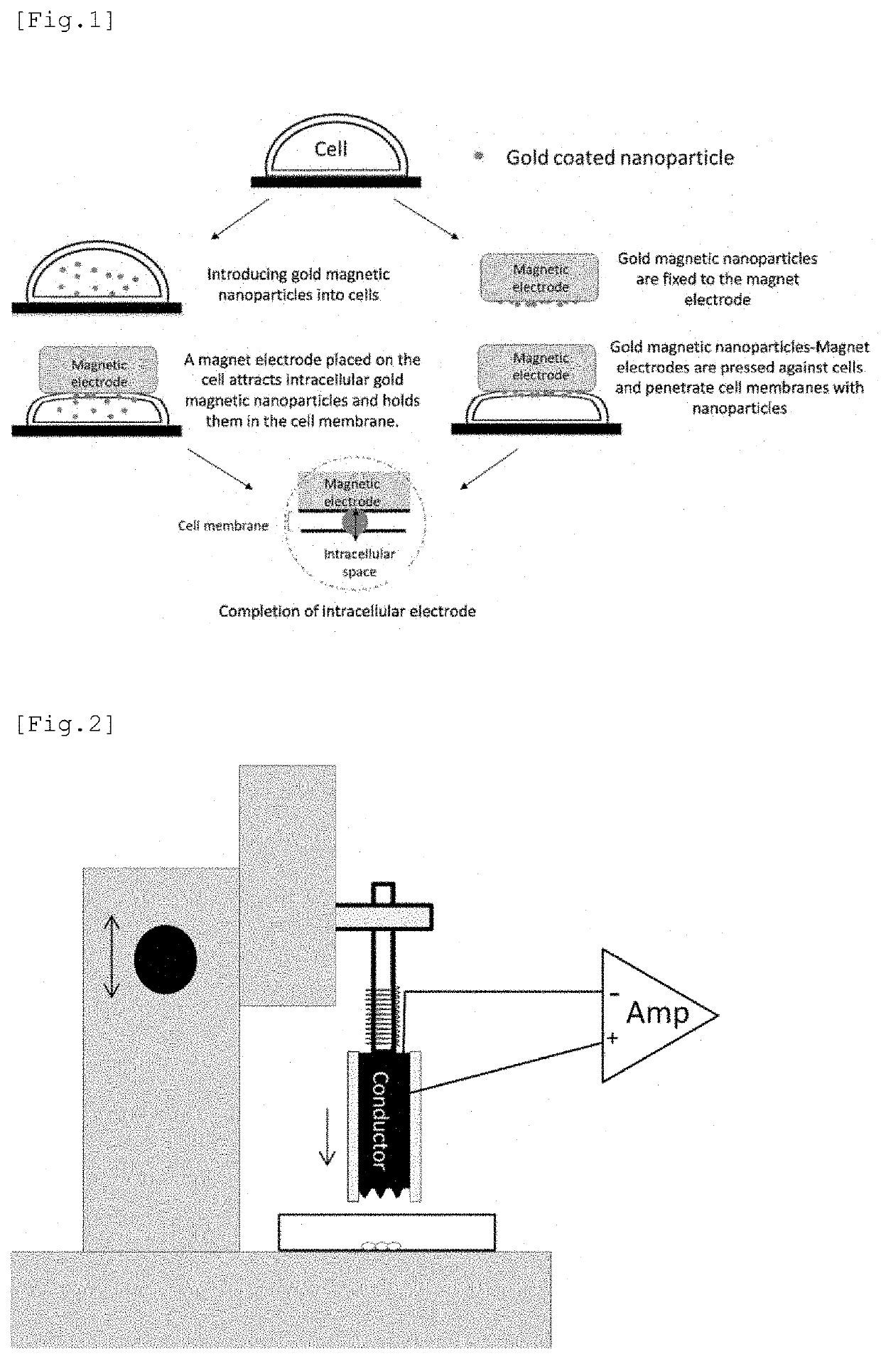 Electrode having NANO structure at tip