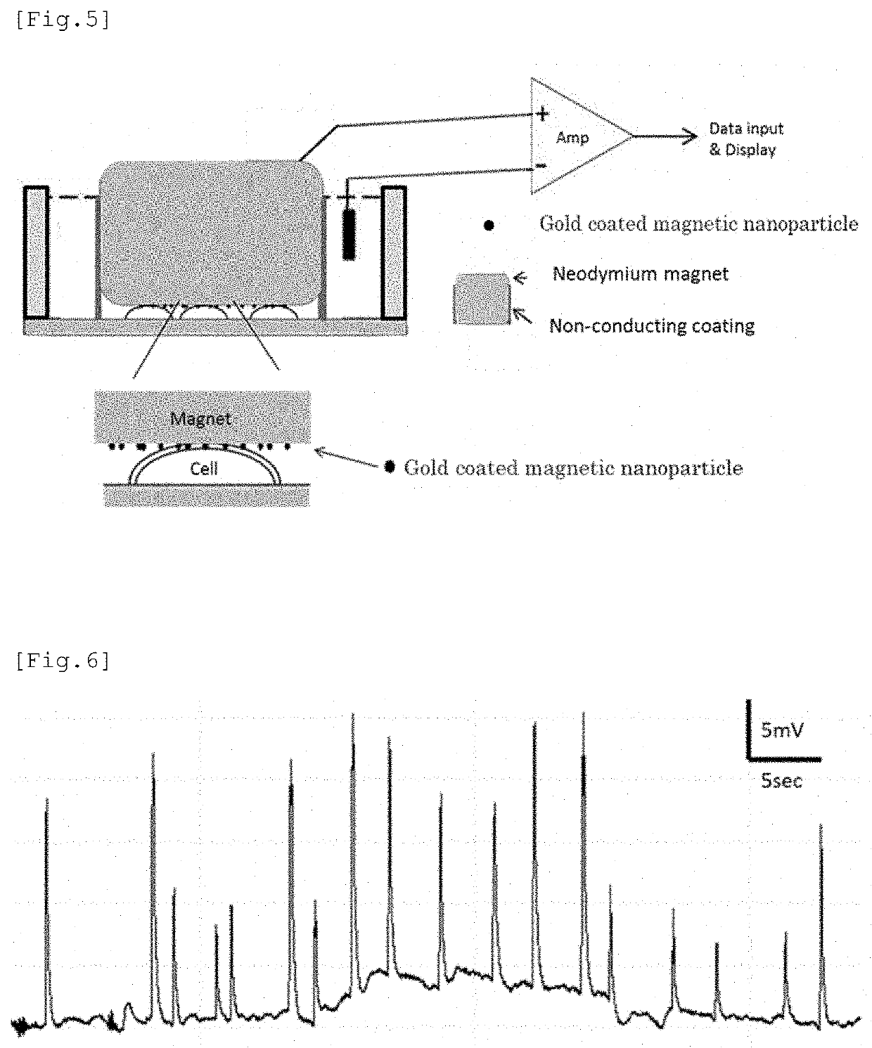 Electrode having NANO structure at tip