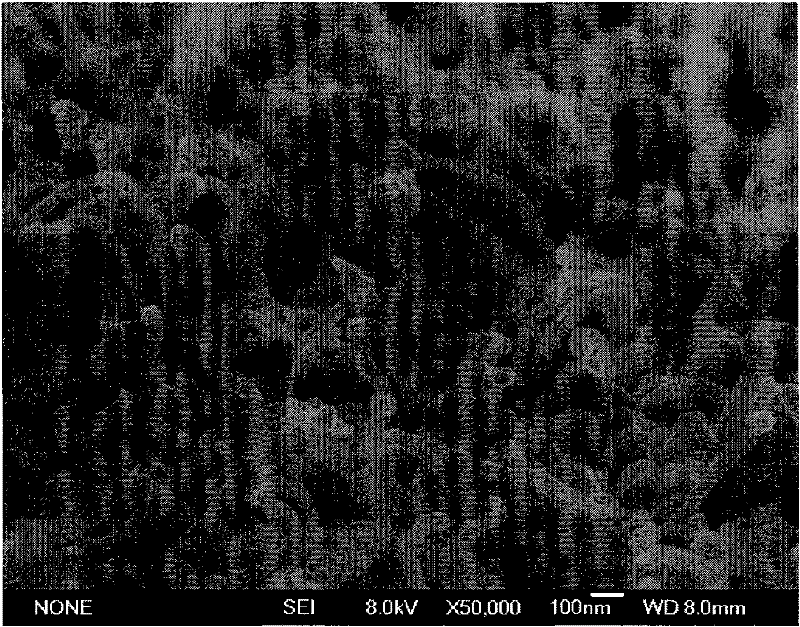 Method for preparing gamma-Fe2O3 nanometer wire filling carbon nitrogen multi-wall nanometer tubes through one-step reaction