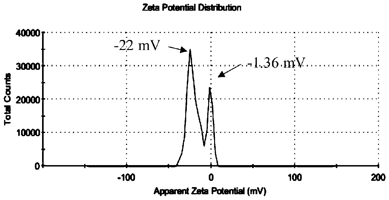 Method for coupling negative-charge protein with 3-aminopropyl triethoxy silane