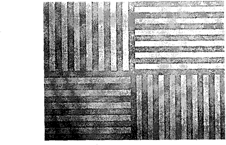 Semiconductor plasma etching technology