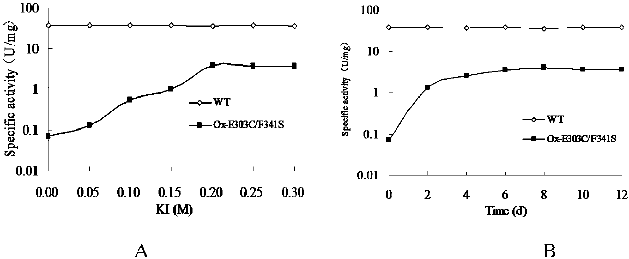 Beta-galactosidase two-site mutant with high transglycosylation and low hydrolytic activity and preparation method thereof