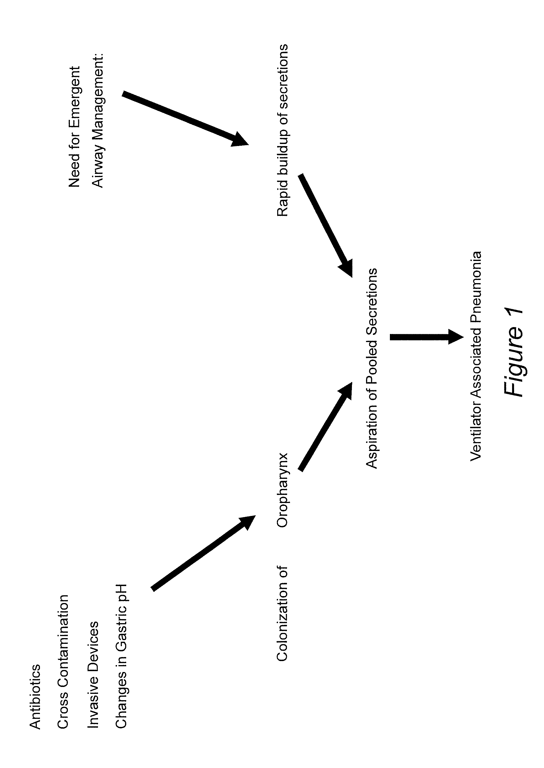 Prevention of ventilator associated pneumonia (VAP)