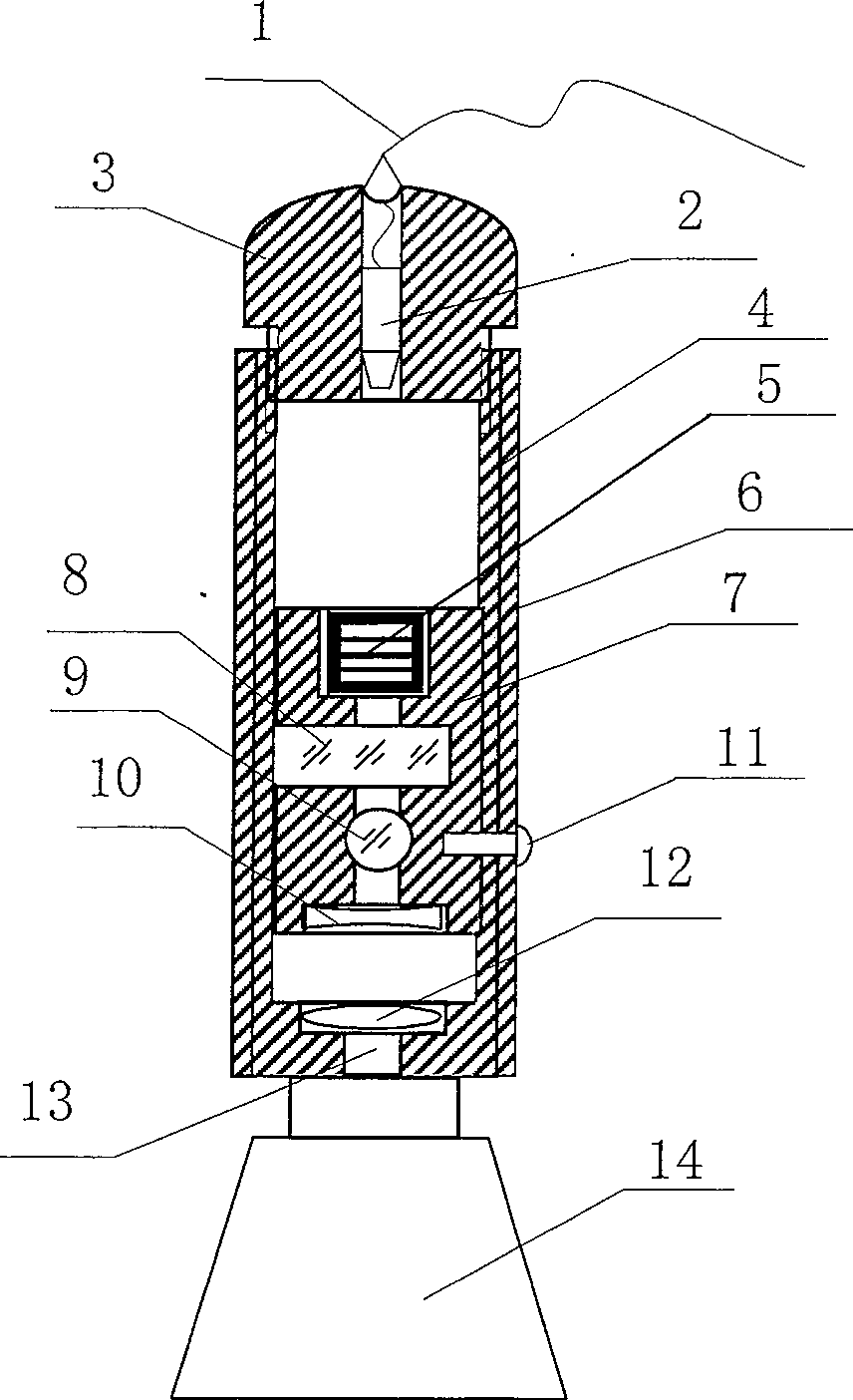 Polarization laser acupuncture pinhead