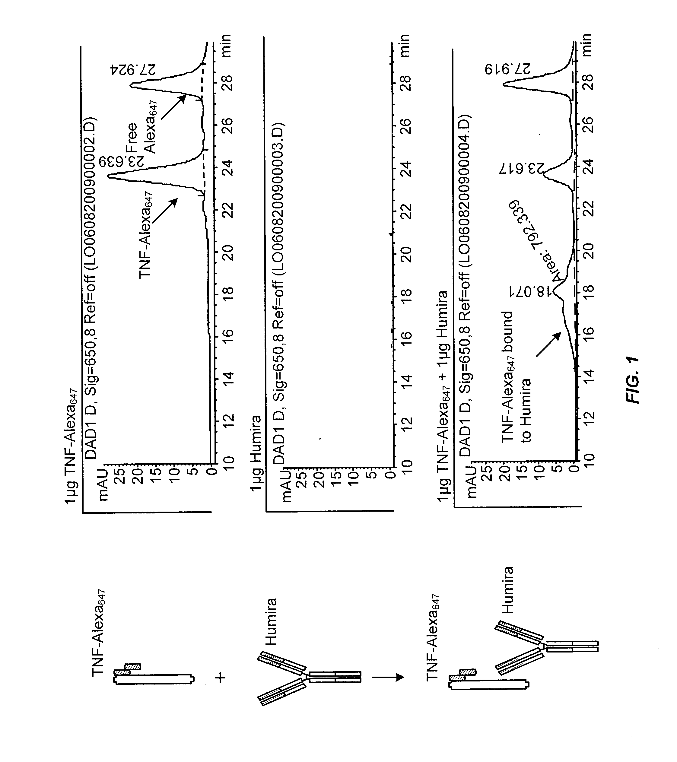 Methods for determining Anti-drug antibody isotypes