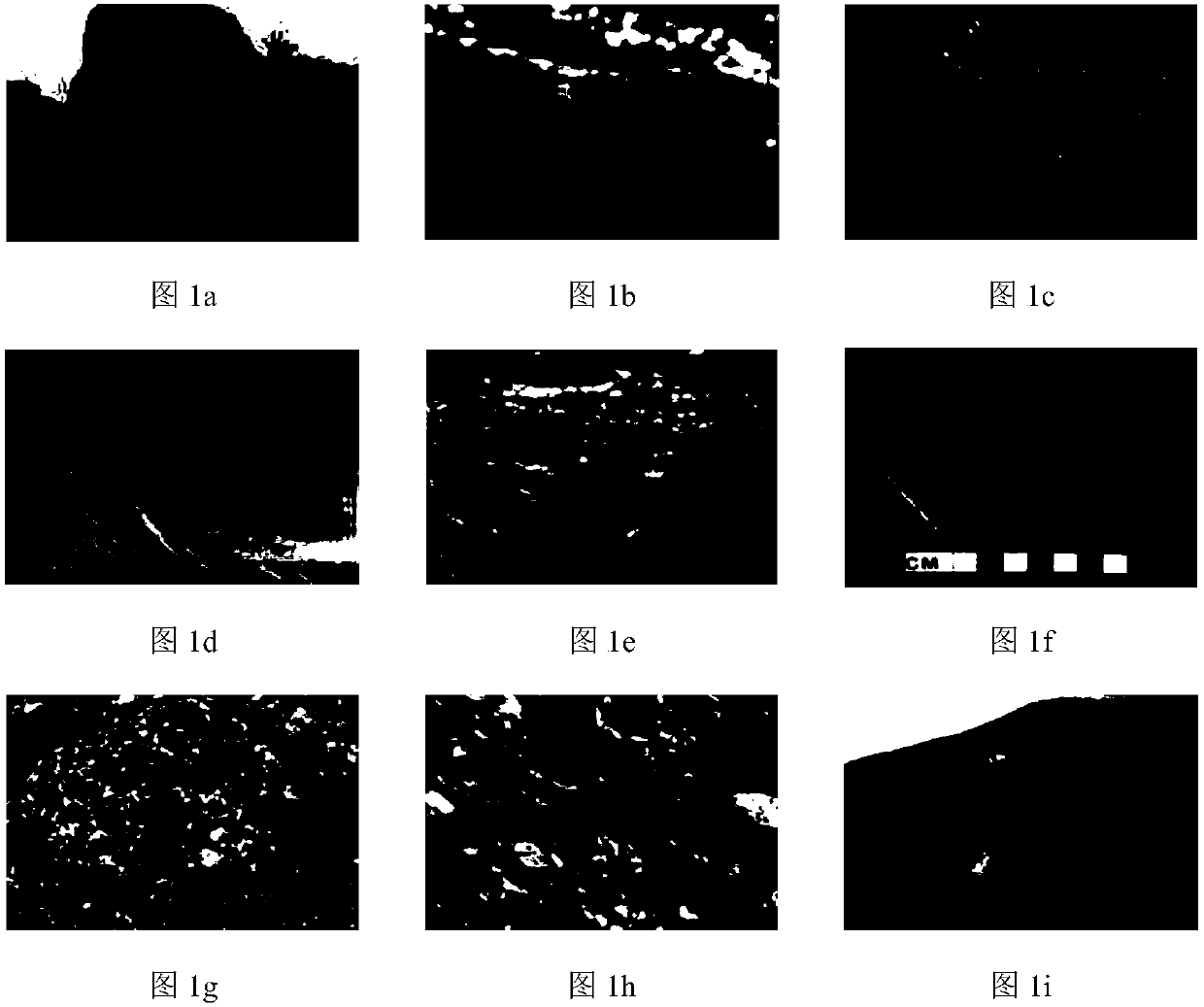 Method for automatically identifying and classifying rock lithology in deep learning mode