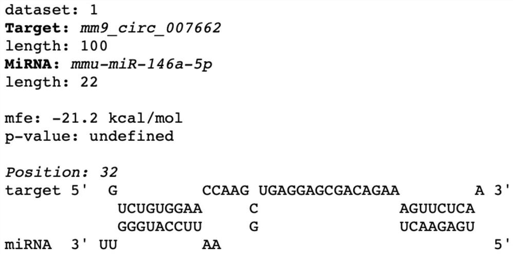 A myocardial ischemia-reperfusion injury marker circRNA and its application