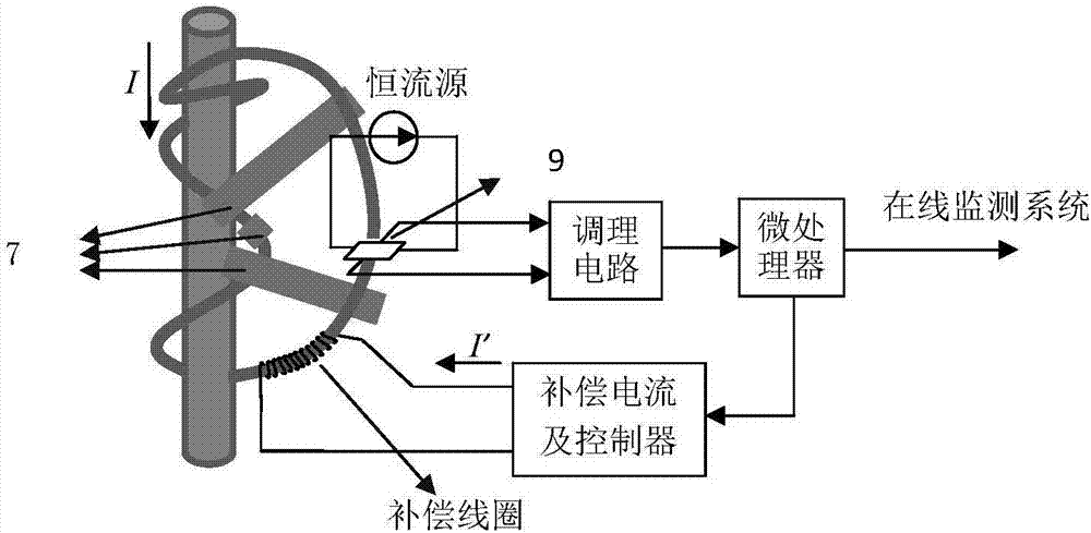 Magnetic field cancellation big-current detection device and method