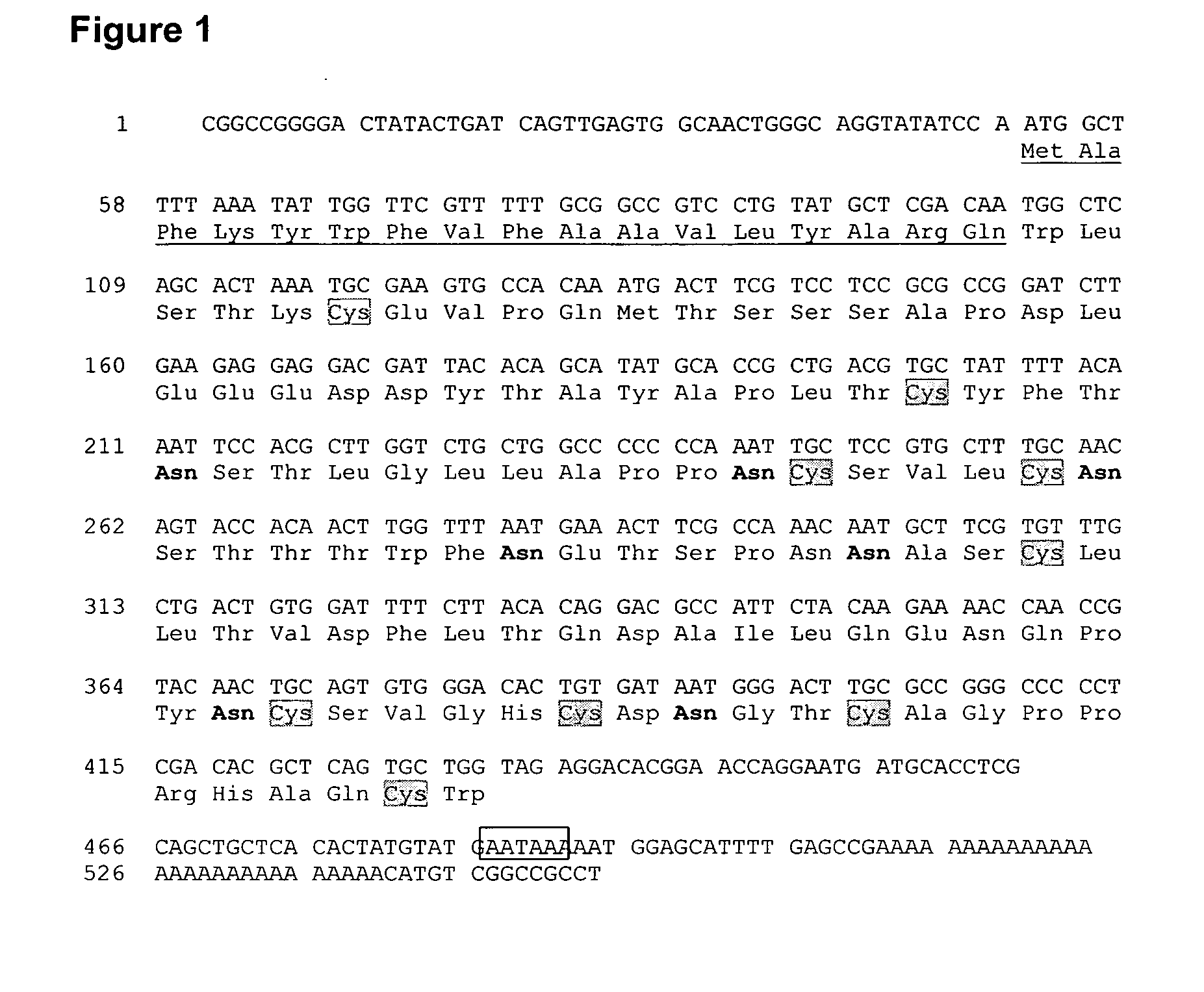 Novel Cc-Chemokine Antagonists