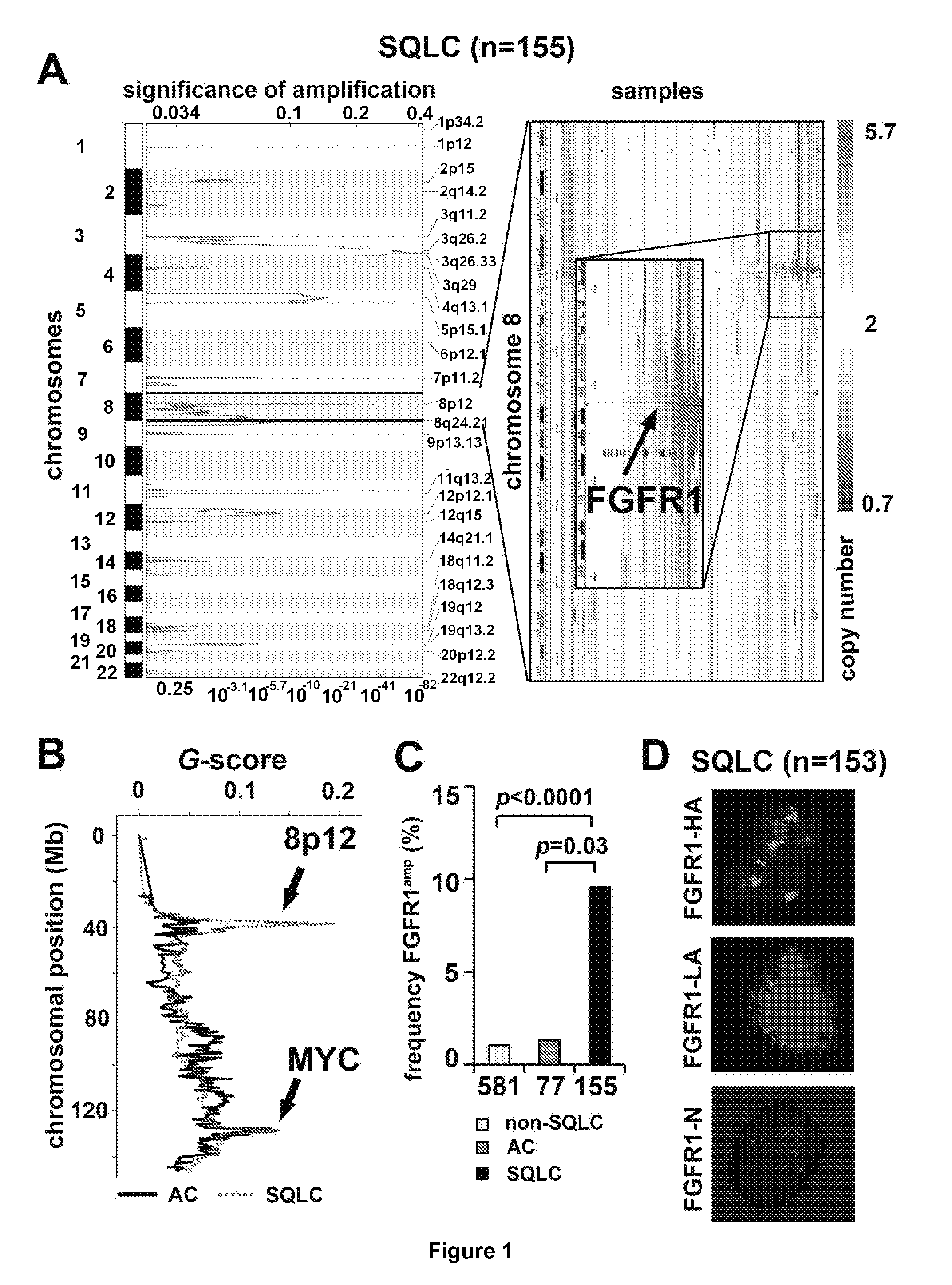 Method of treating lung cancer