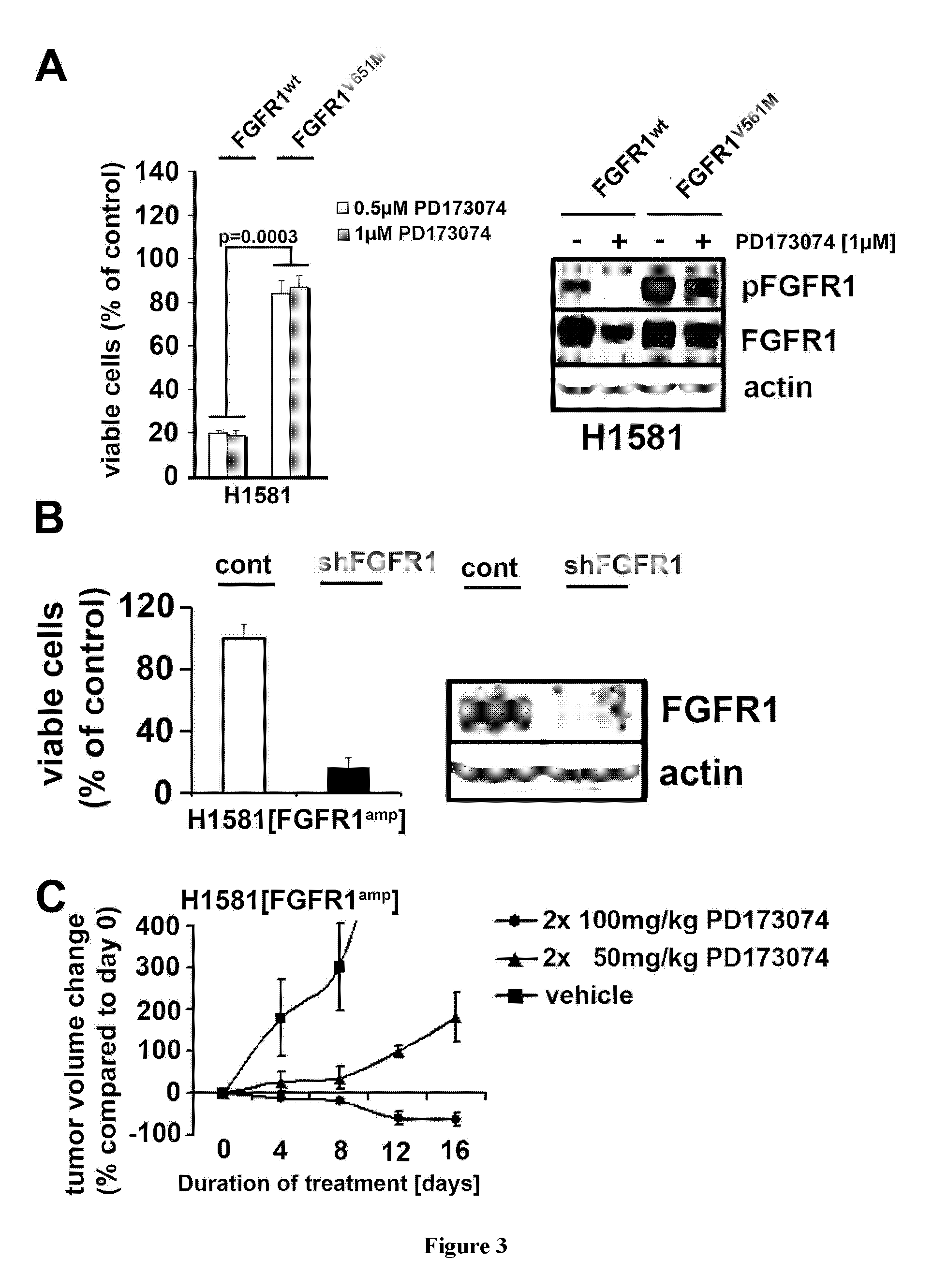 Method of treating lung cancer