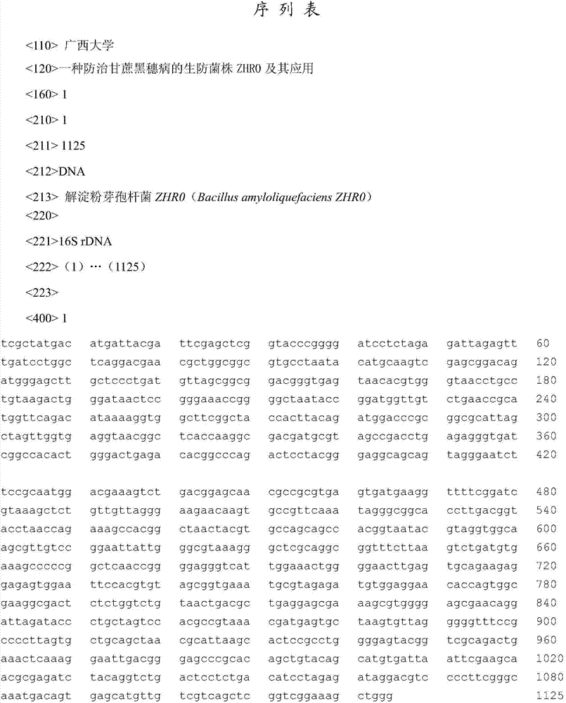 A biocontrol strain zhr0 for preventing and treating sugarcane smut and its application