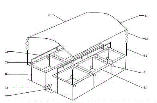 Hirudo culturing system