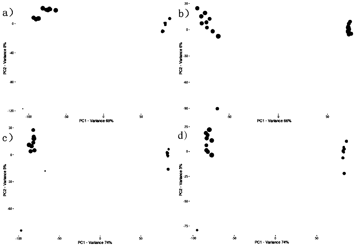 Model construction method for researching black sea bream immune mechanism enhancement by selenized glycosaminoglycan based on liver metabonomics