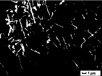 Graphene/silver molybdenum oxide compound visible-light catalyst and preparation method thereof