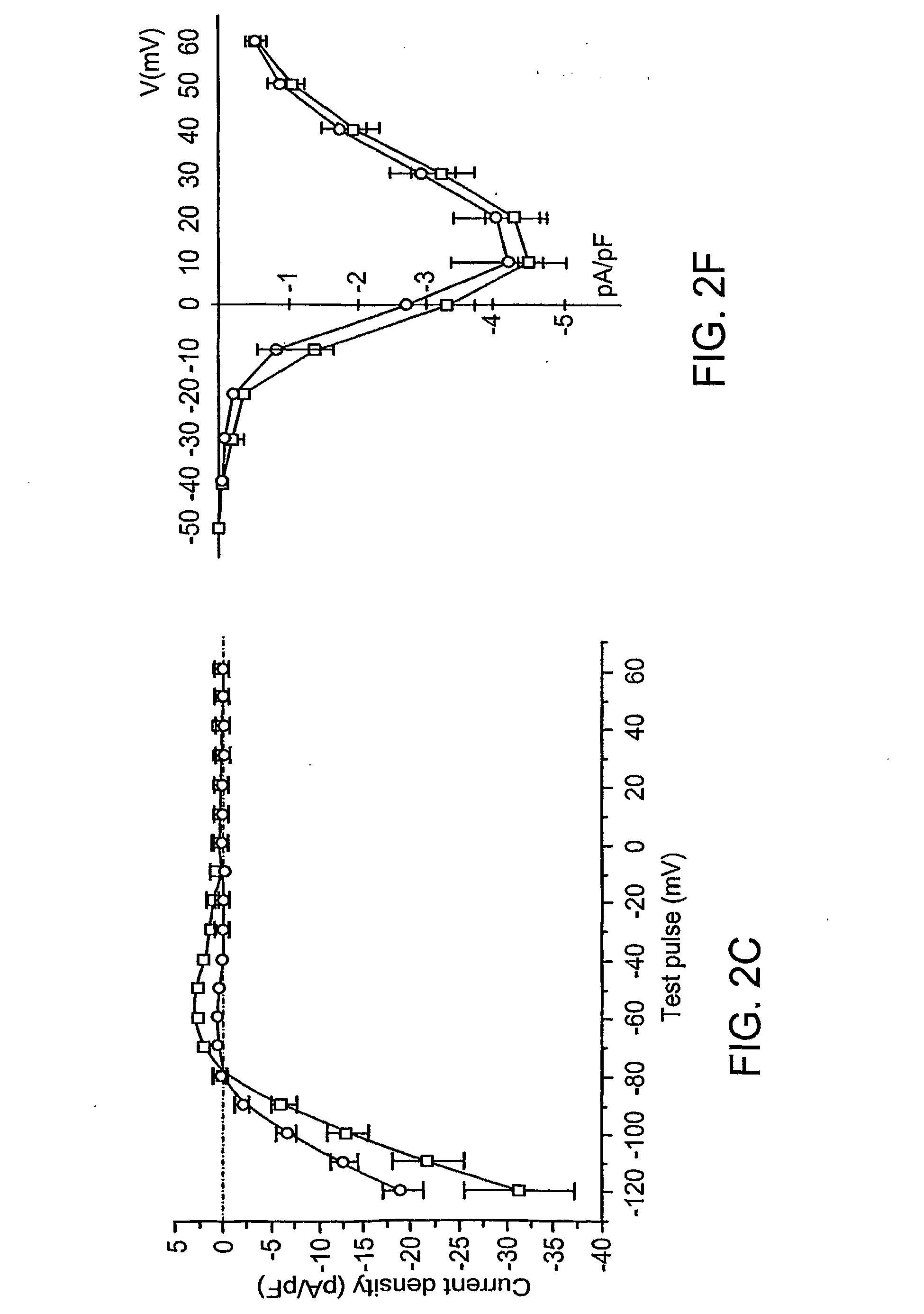 Biological Pacemaker