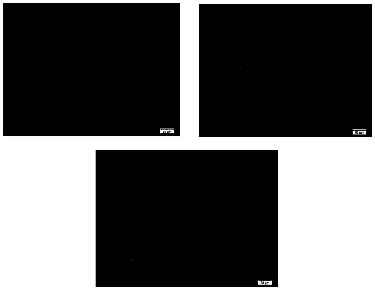 Method for inhibiting photodegradation of ergothioneine and application of method