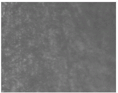 Concrete filler and preparation method thereof