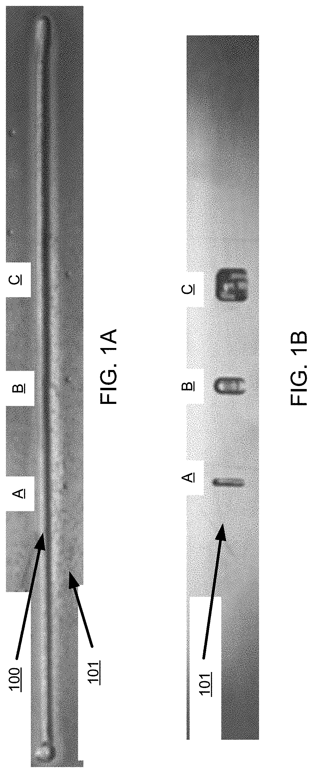 System and method for in-situ characterization and inspection of additive manufacturing deposits using transient infrared thermography