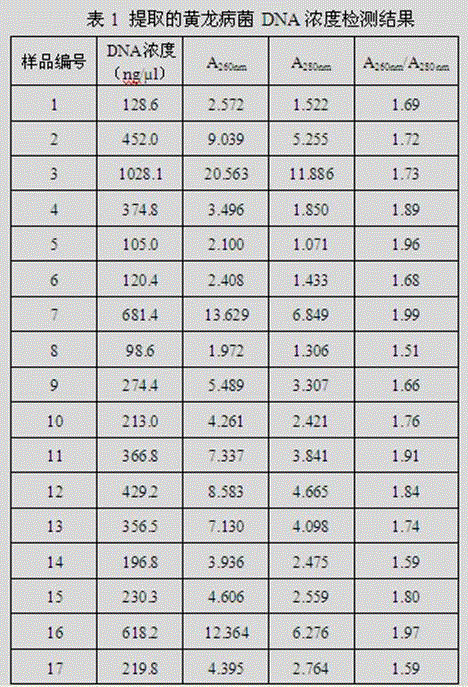 A rapid extraction method of Huanglongbing bacteria dna