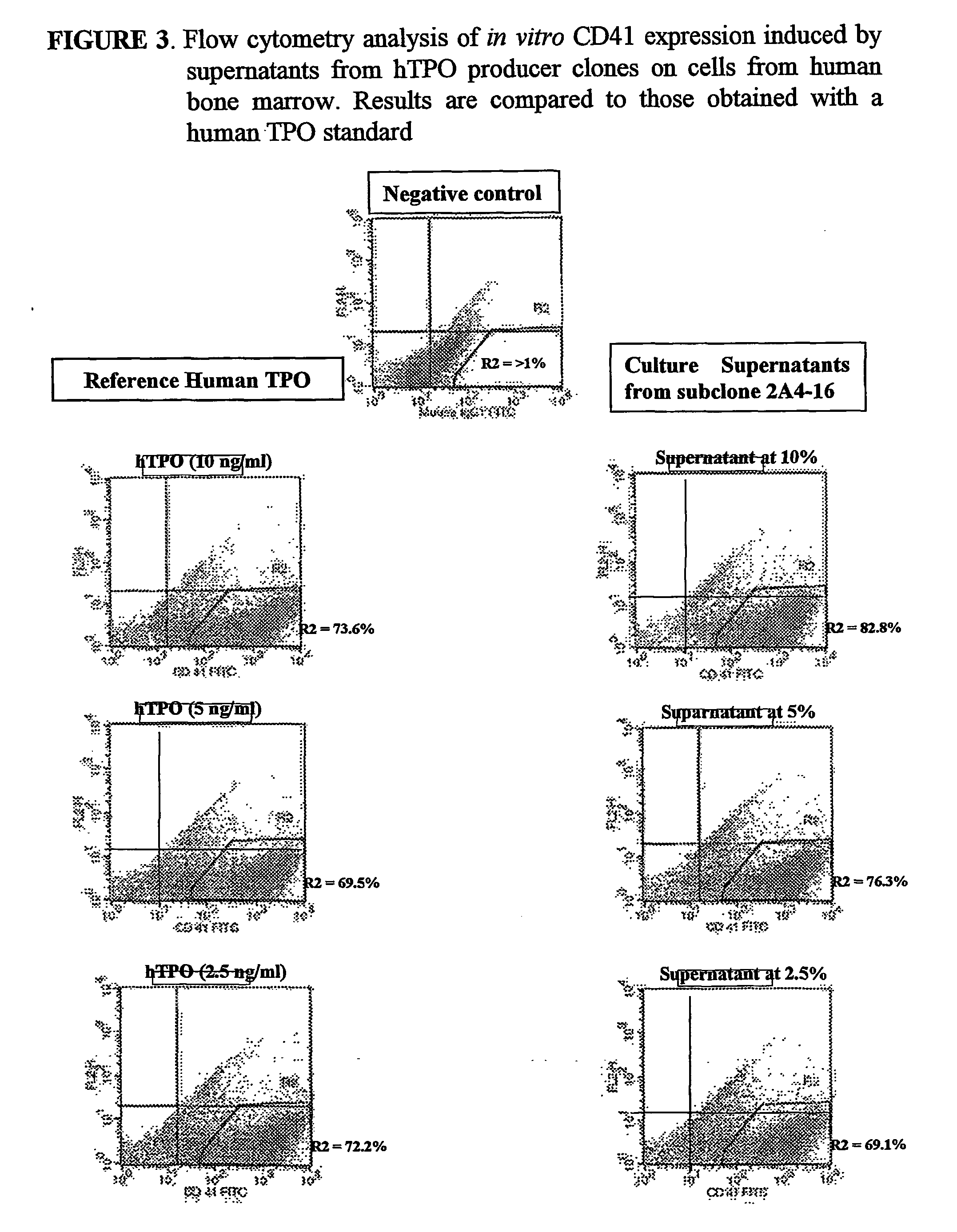 Methods for preparing human thrombopoietin polypeptides by mammalian cell cultures