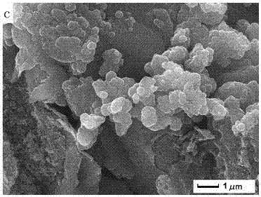 A kind of polypyrrole/graphite carbon nitride nanocomposite material and preparation method thereof