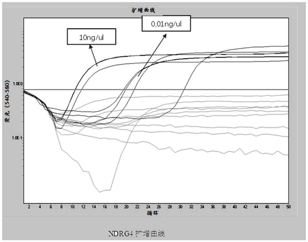 DNA methylation marker for early colorectal cancer and adenoma, method for detecting DNA methylation marker and application of DNA methylation marker