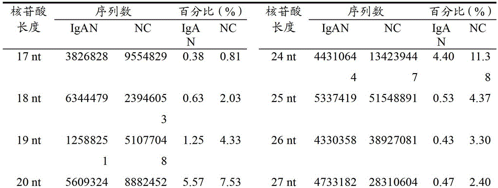 Analytical method and application of differentially expressed miRNAs in renal tissues of primary IGA nephropathy