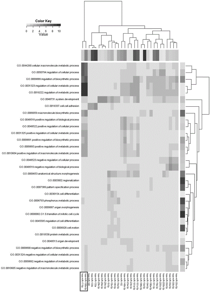 Analytical method and application of differentially expressed miRNAs in renal tissues of primary IGA nephropathy