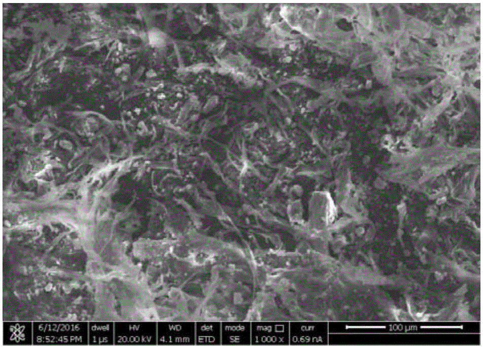 Penicillium chrysogenum and ferrihydrite aggregate and production method and application thereof