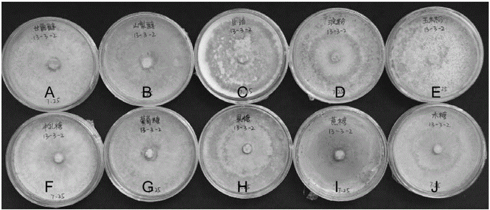 Trichoderma harzianum strain and application thereof