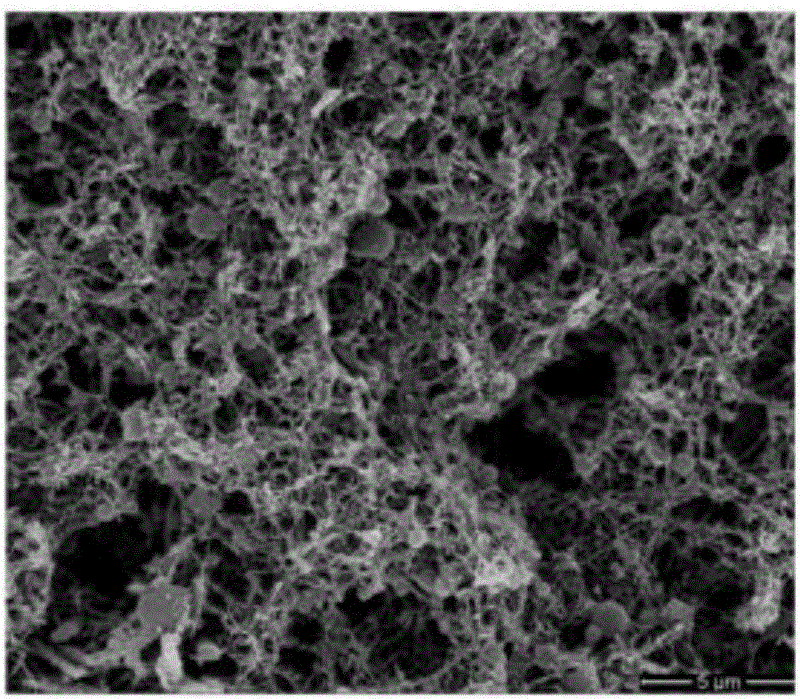 Conductive polymer aerogel and preparation method thereof