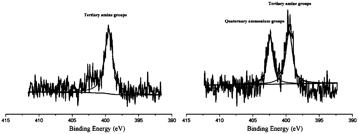 Polymer containing quaternary ammonium group, anion exchange membrane and preparation method thereof