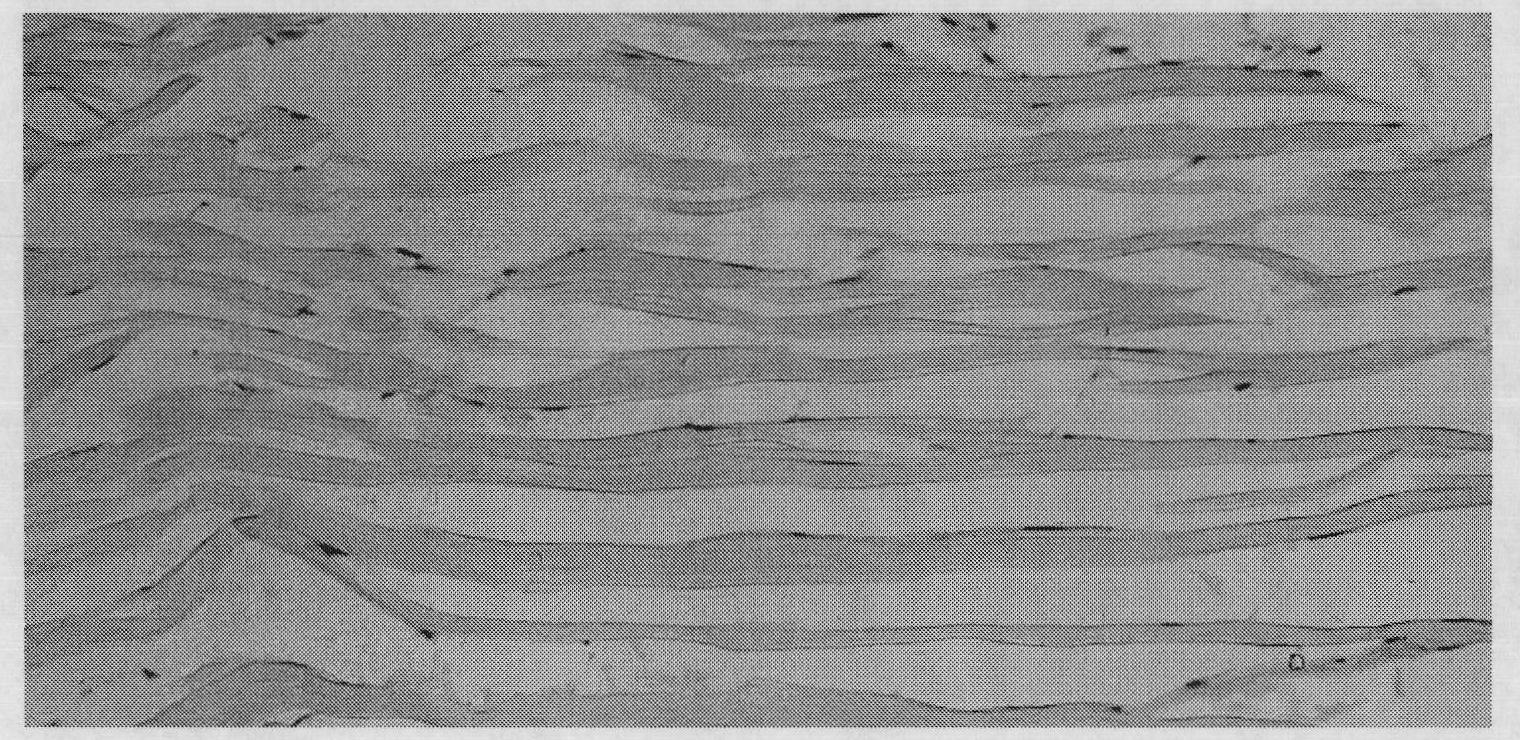 Acellular tendon or ligament collagenous fiber material and preparation method thereof