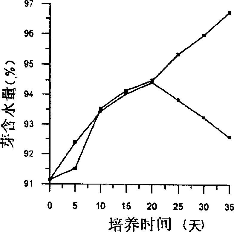 Method for preventing plant indefinite bud and cultivating seedling in glass container