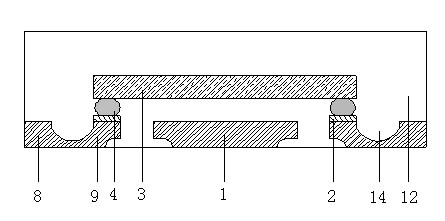 Multi-circle arranged IC (integrated circuit) chip packaging member and producing method thereof