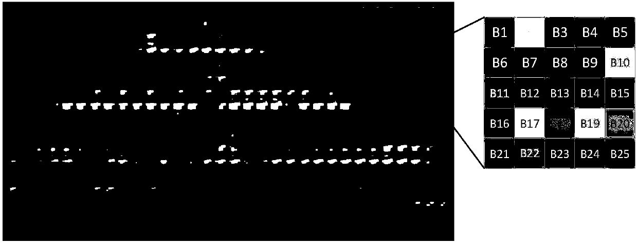 Multispectral mosaic image restoration method