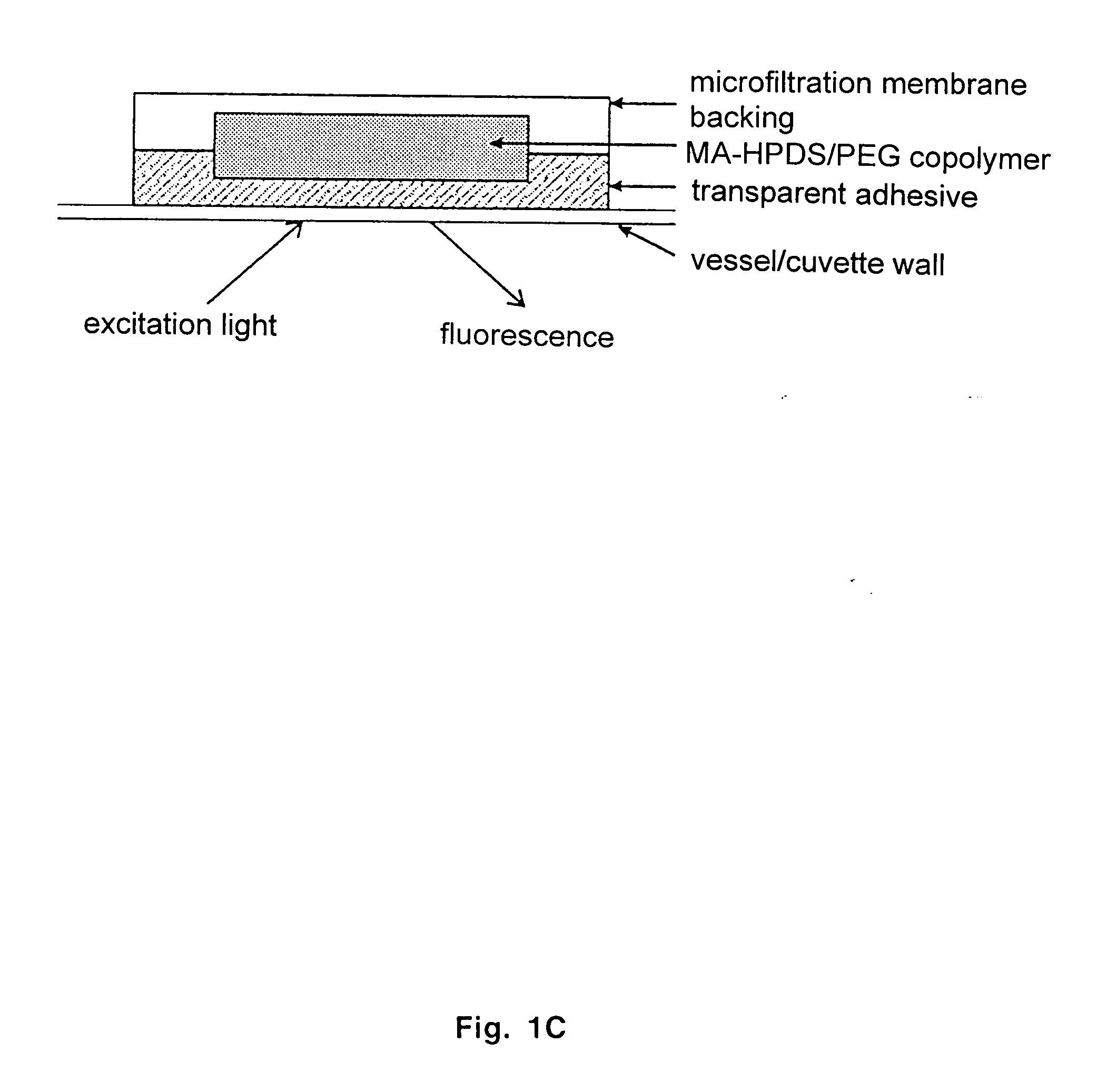 Ratiometric fluorescent pH sensor for non-invasive monitoring