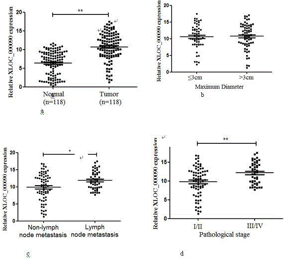 Identification and application of lncRNA (long non-coding RNA) XLOC_000090 in lung cancer