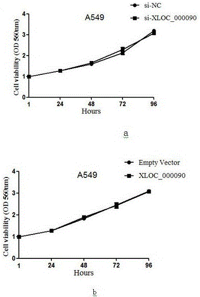 Identification and application of lncRNA (long non-coding RNA) XLOC_000090 in lung cancer