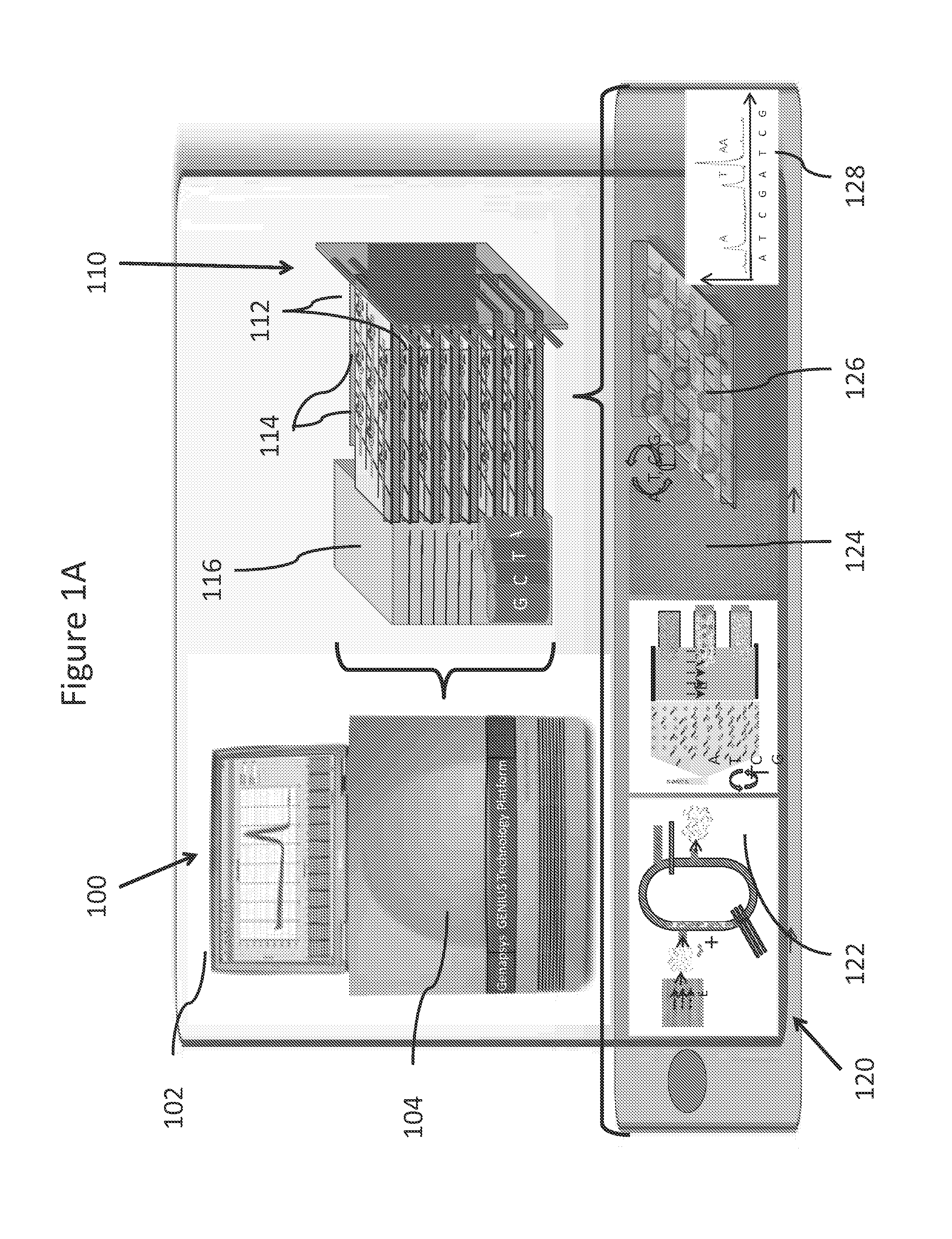 Systems and methods for genetic and biological analysis