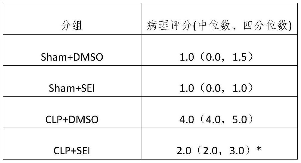 Application of senkyunolide I in sepsis lung injury treatment medicine