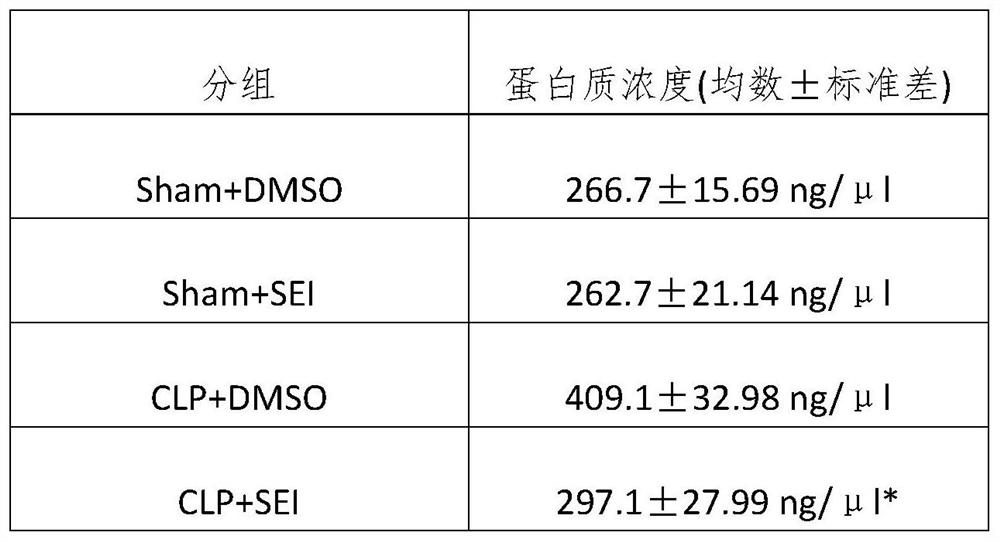 Application of senkyunolide I in sepsis lung injury treatment medicine