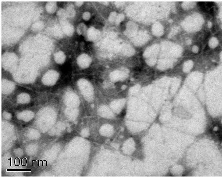 Preparation method of homogenized fine nano-cellulose fiber