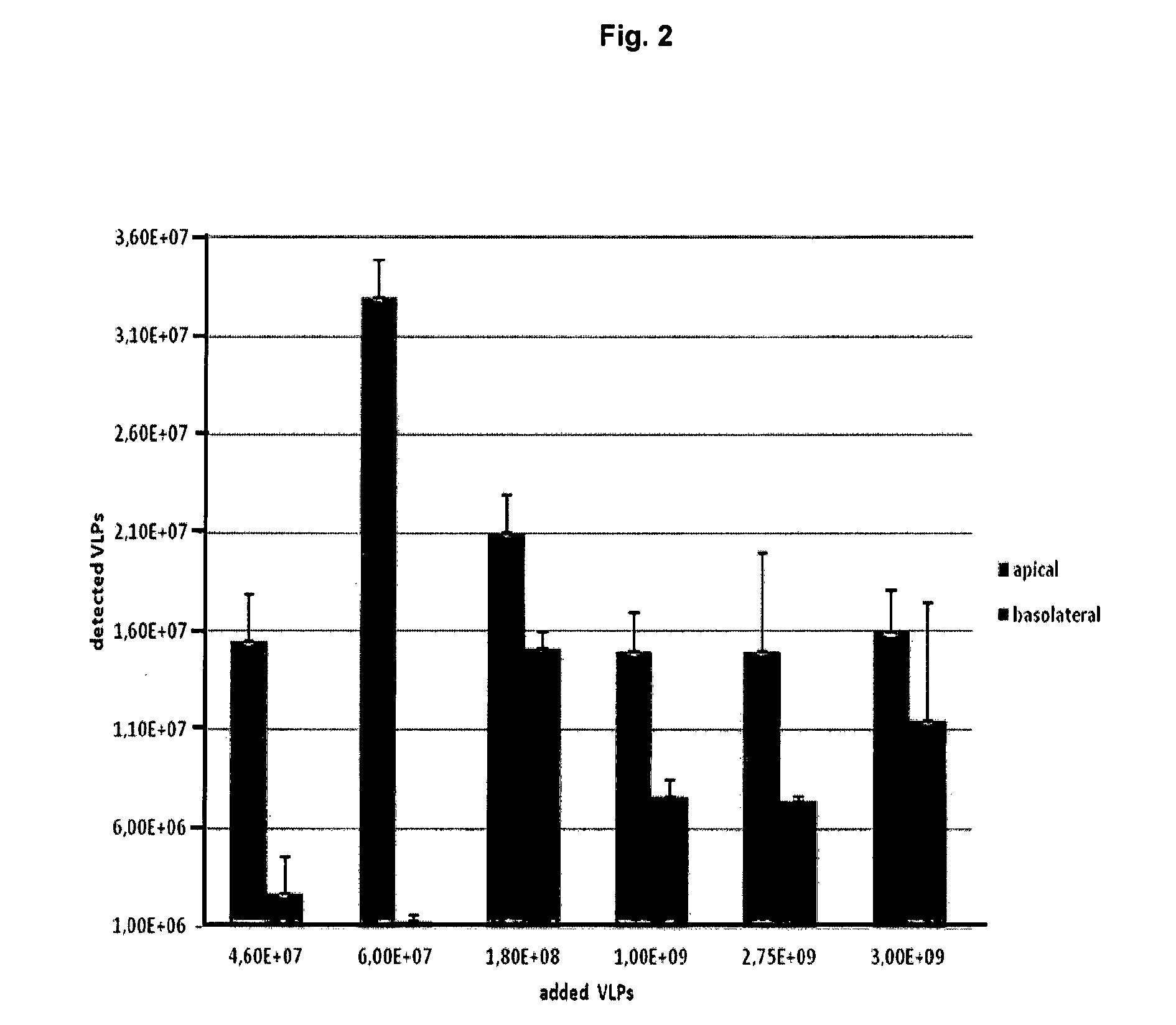 A novel drug delivery system based on jcv-vlp